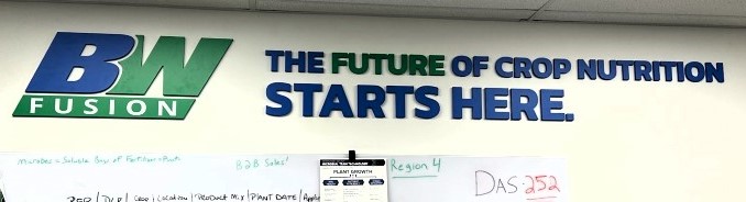 Custom dimensional letters